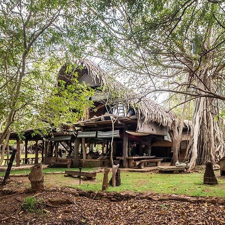 הוילה Hambegamuwa Banyan Camp מראה חיצוני תמונה