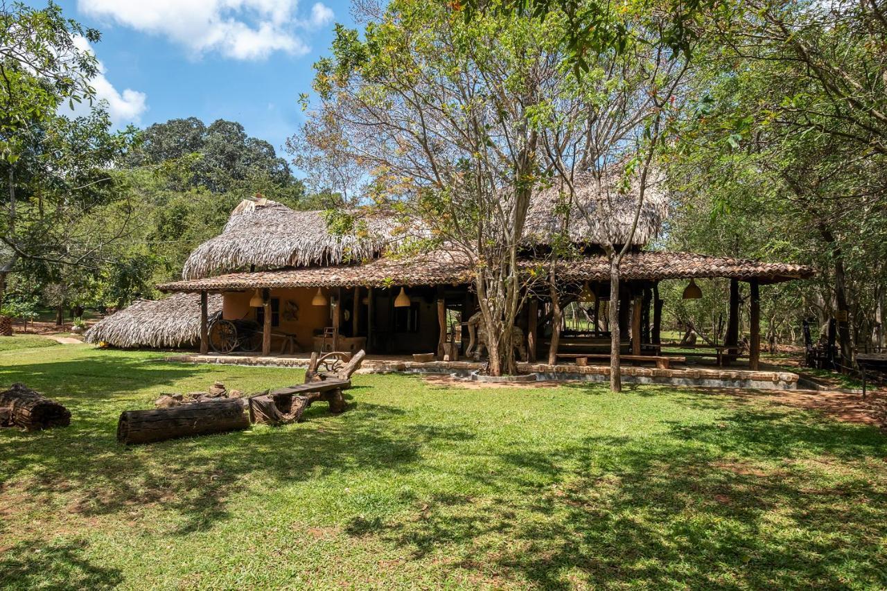 הוילה Hambegamuwa Banyan Camp מראה חיצוני תמונה