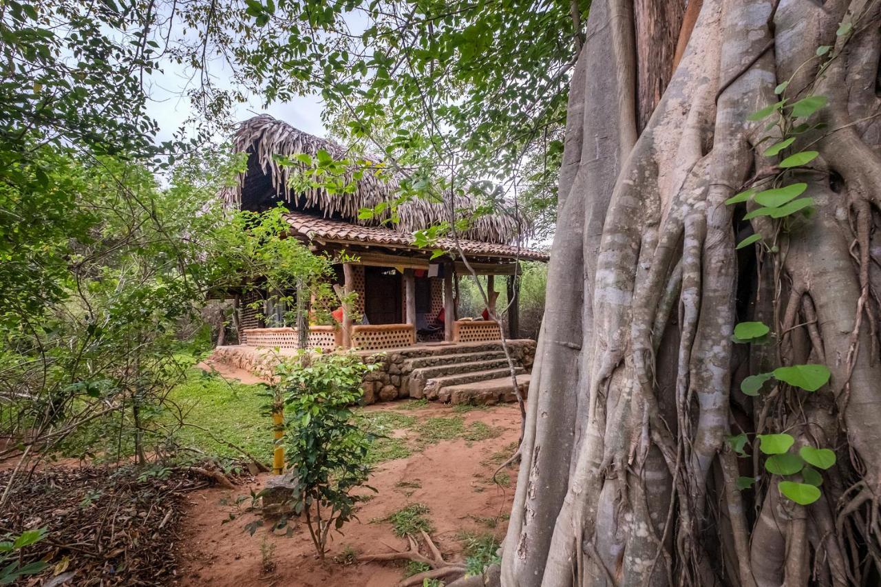 הוילה Hambegamuwa Banyan Camp מראה חיצוני תמונה