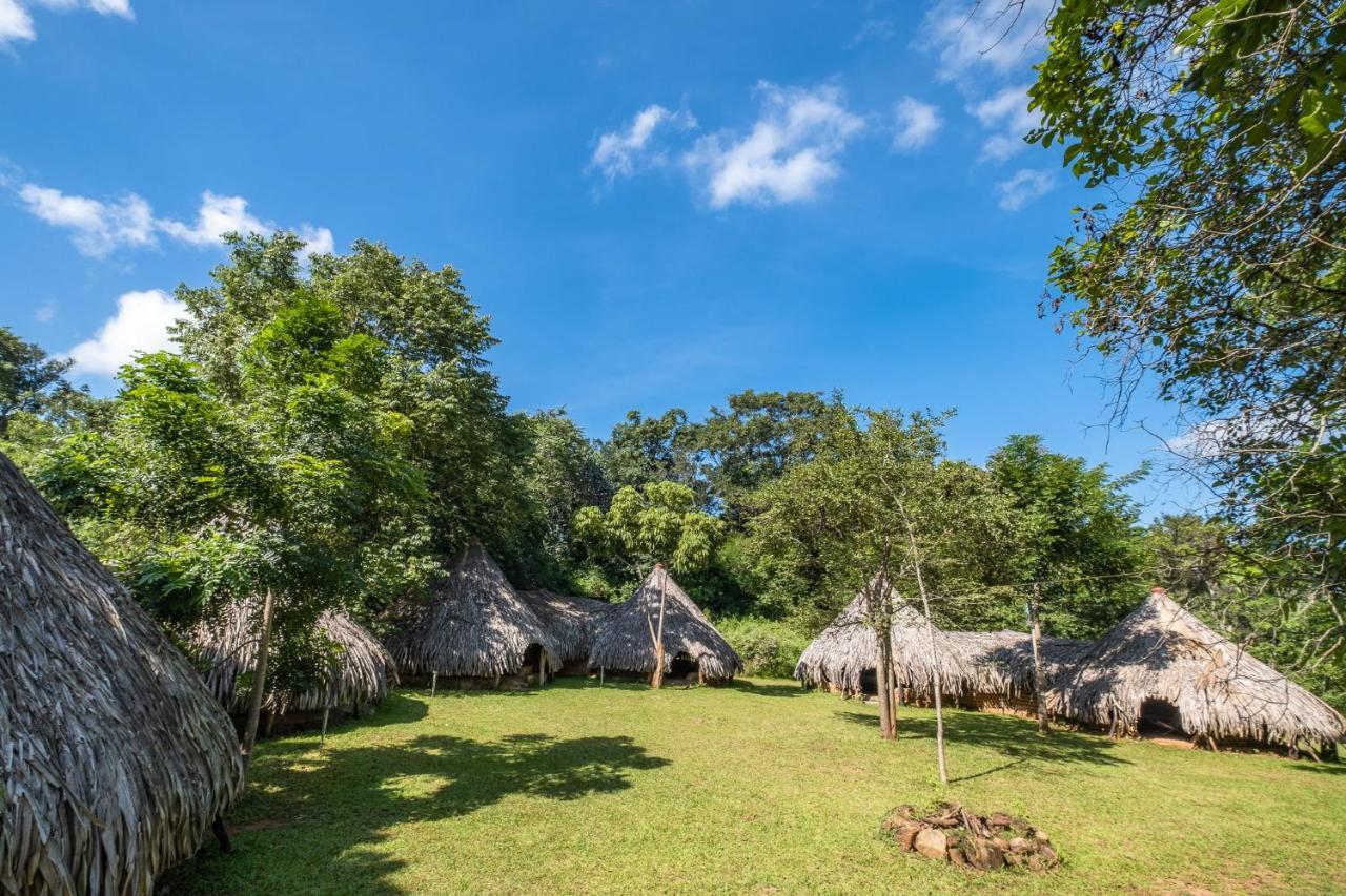 הוילה Hambegamuwa Banyan Camp מראה חיצוני תמונה