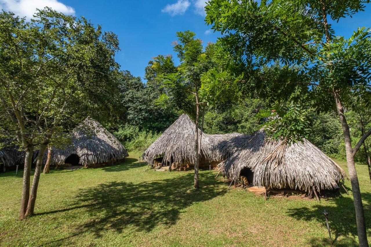 הוילה Hambegamuwa Banyan Camp מראה חיצוני תמונה