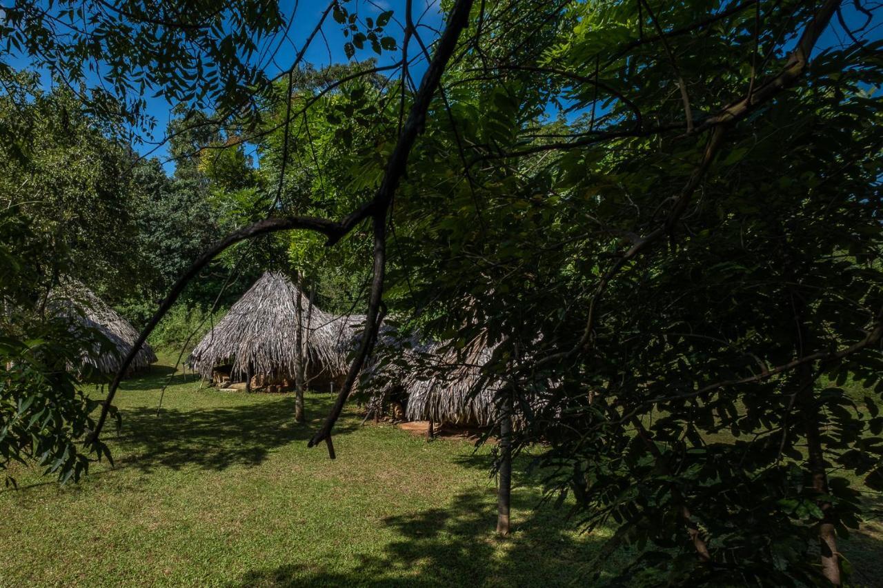 הוילה Hambegamuwa Banyan Camp מראה חיצוני תמונה