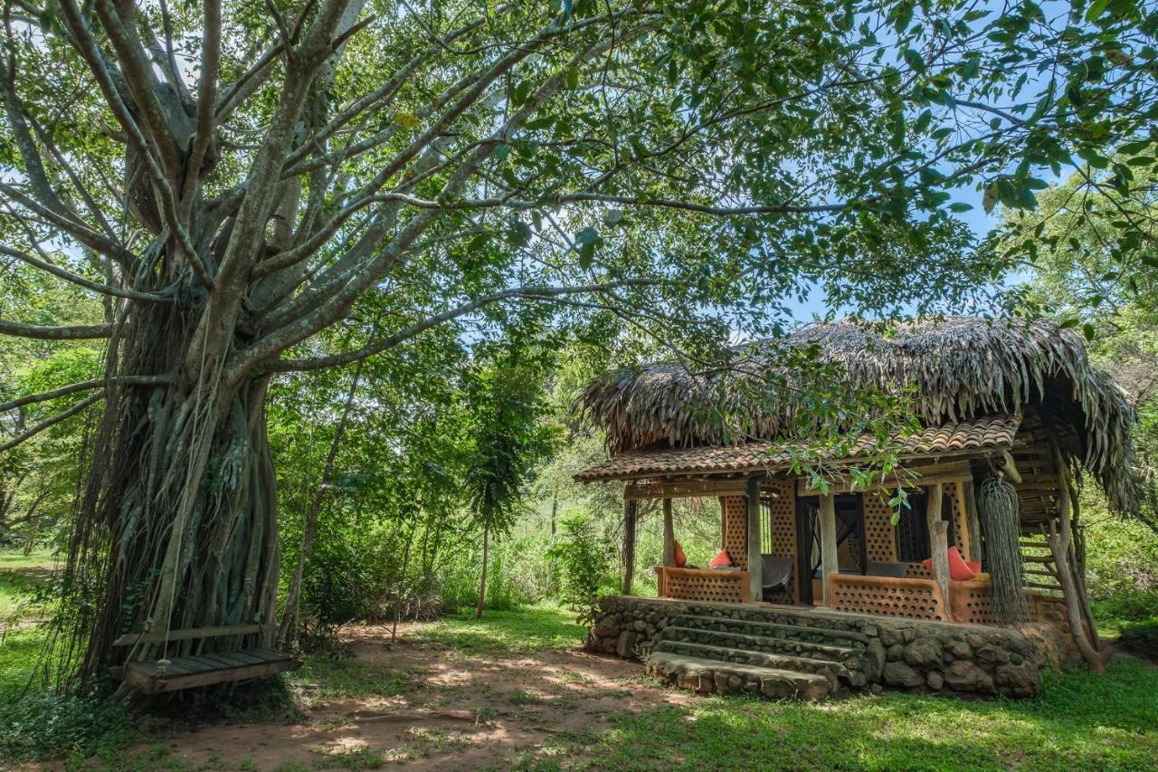 הוילה Hambegamuwa Banyan Camp מראה חיצוני תמונה