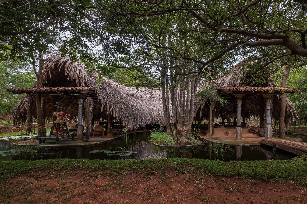 הוילה Hambegamuwa Banyan Camp מראה חיצוני תמונה