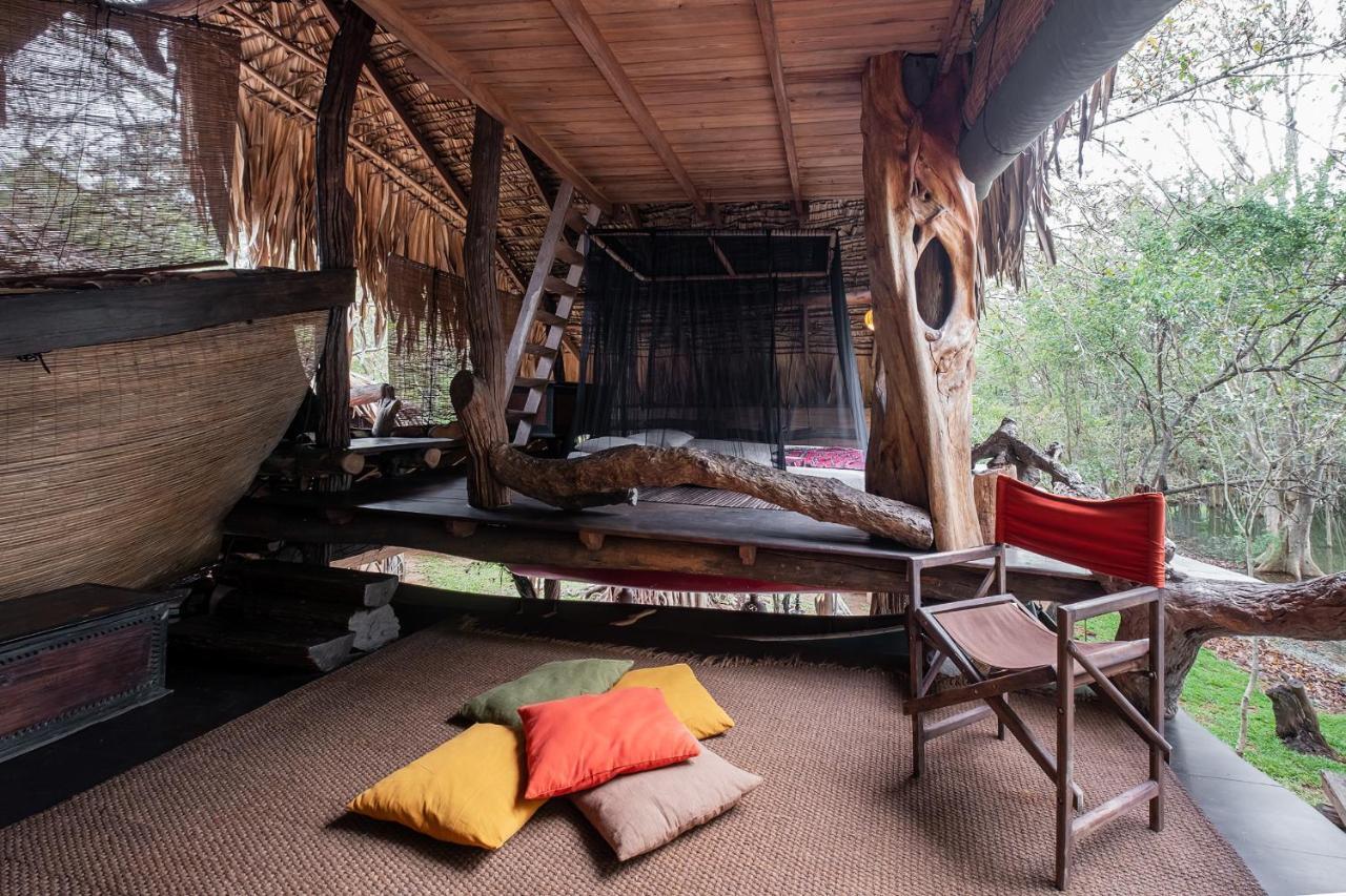 הוילה Hambegamuwa Banyan Camp מראה חיצוני תמונה
